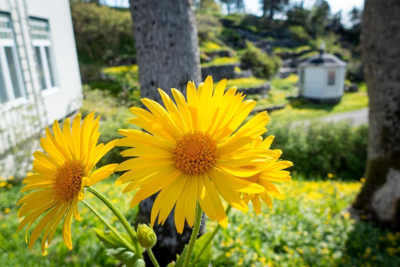 Lofoten Sommerhotell Og Vandrerhjem Kabelvåg Exterior foto